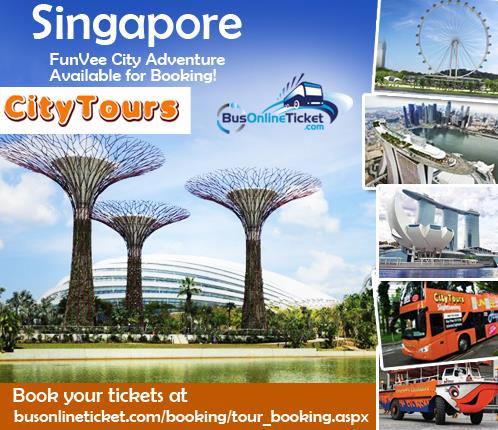singapore city tour with flyer